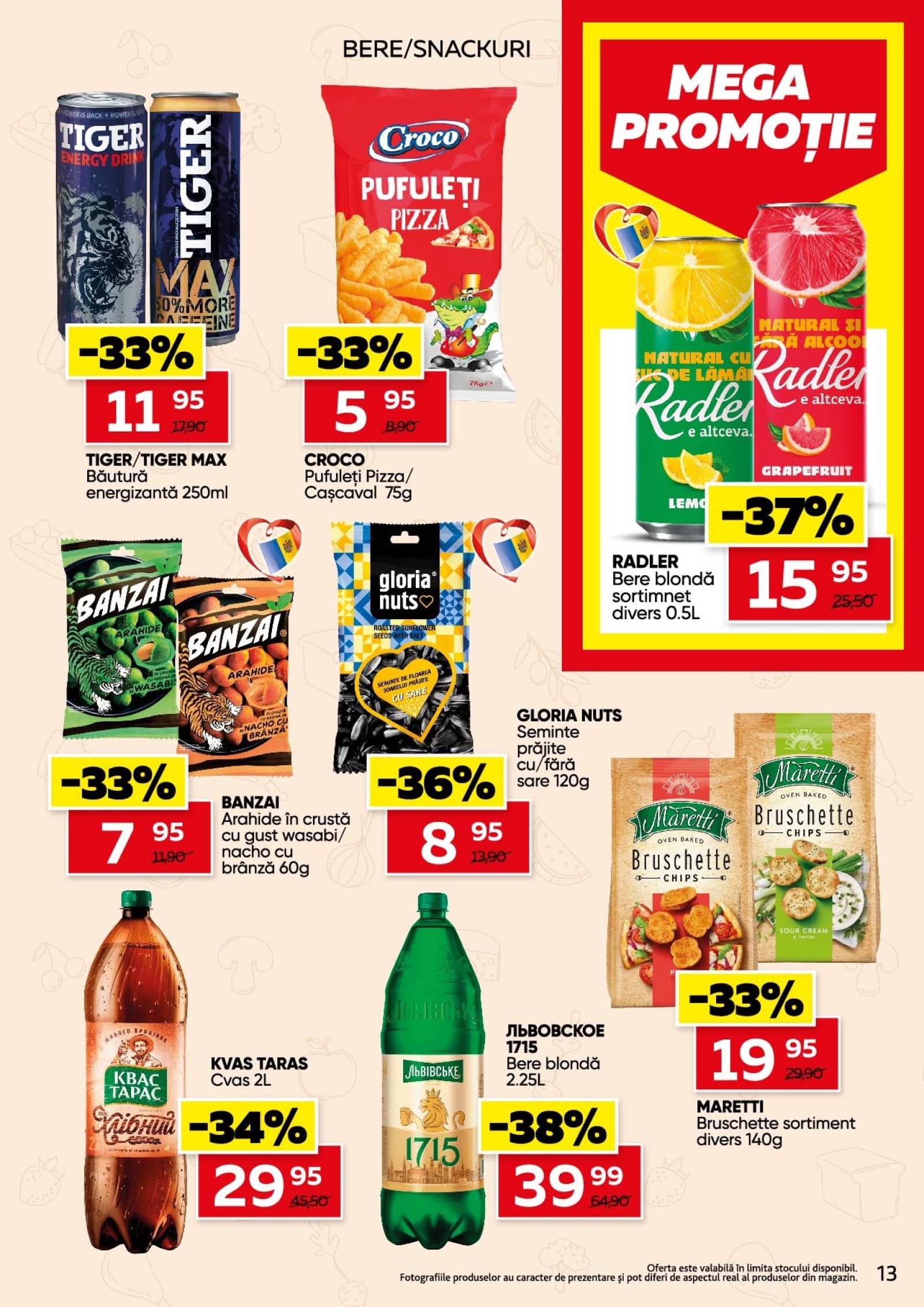 Pagina 13