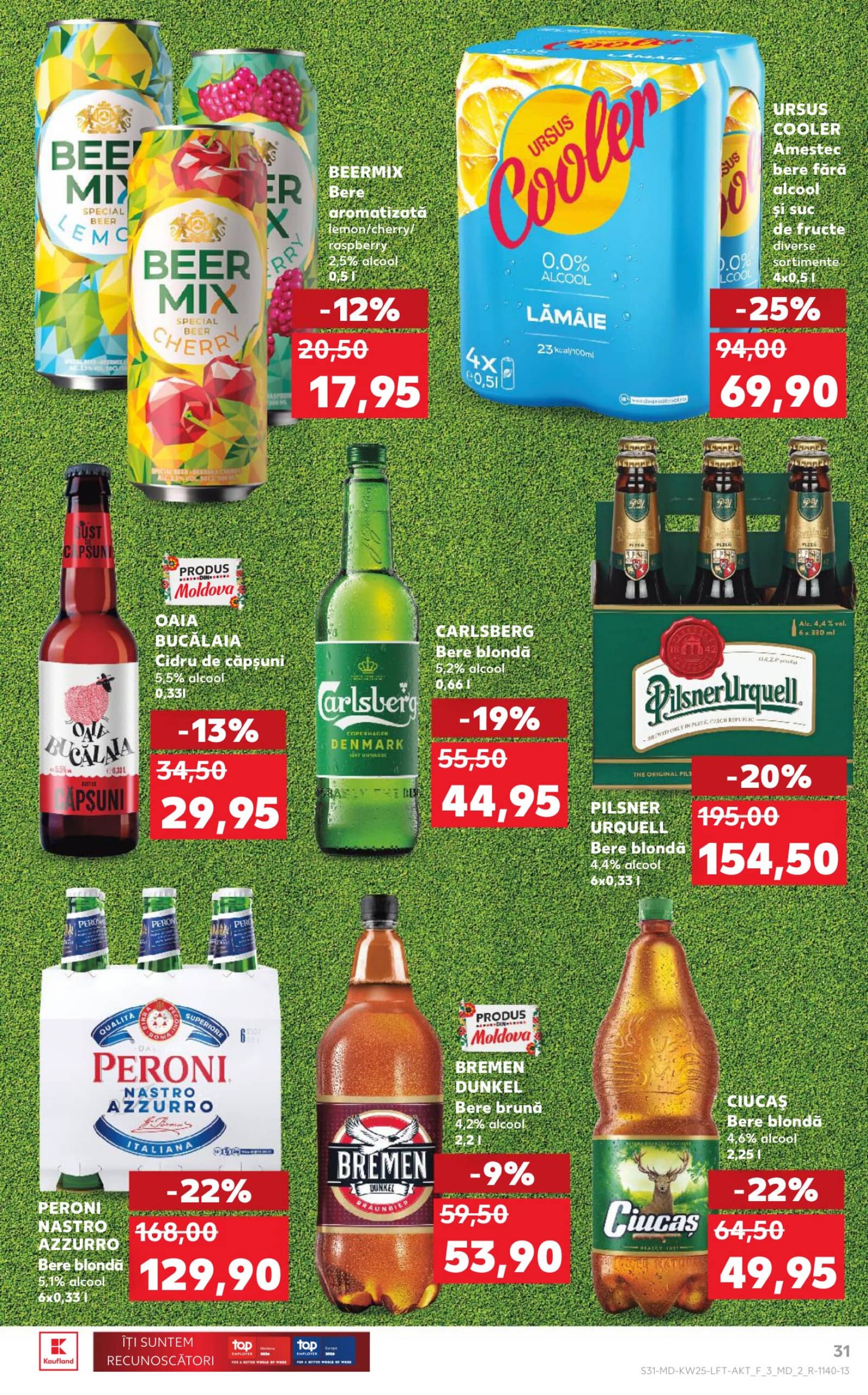 Pagina 31