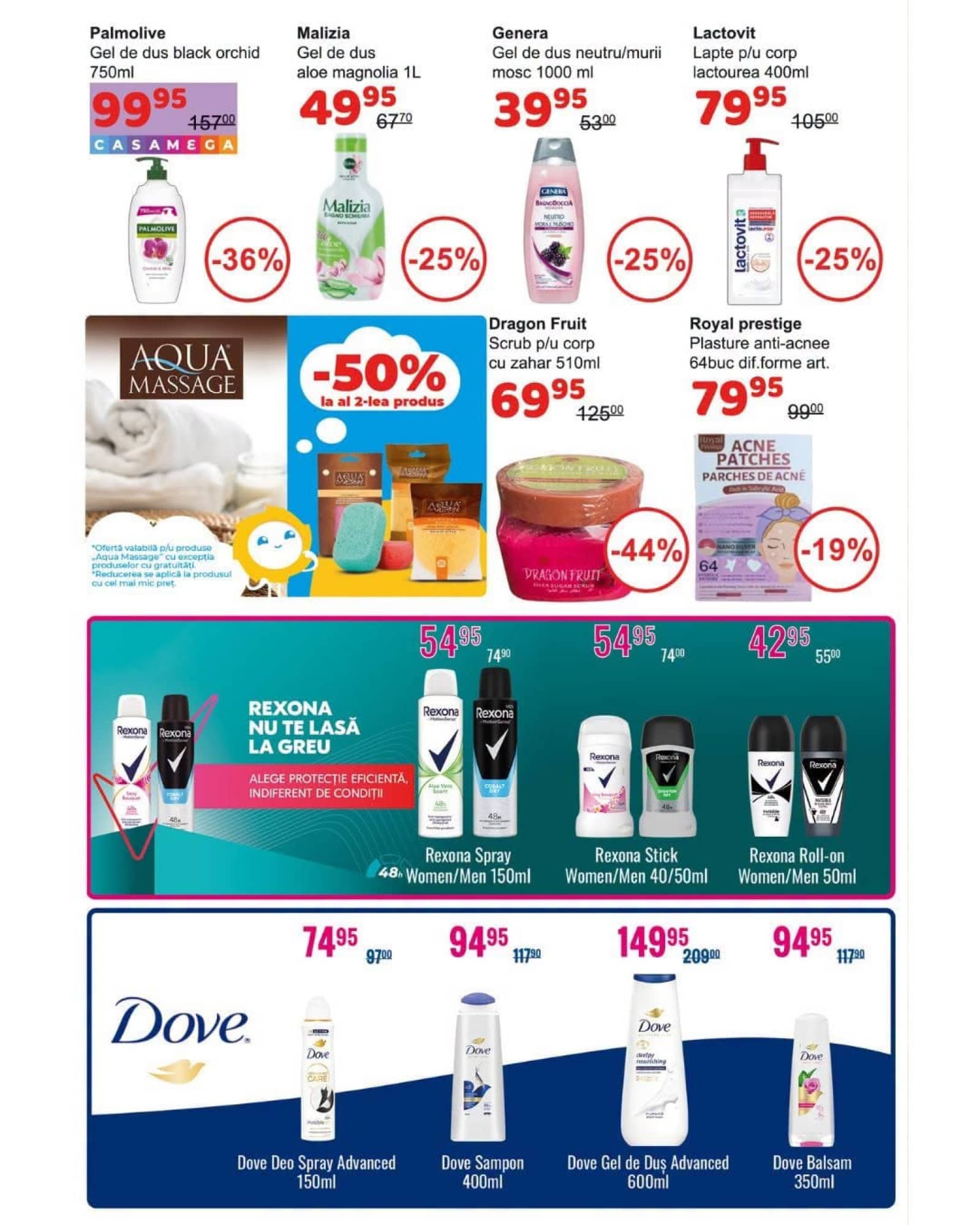 Pagina 12