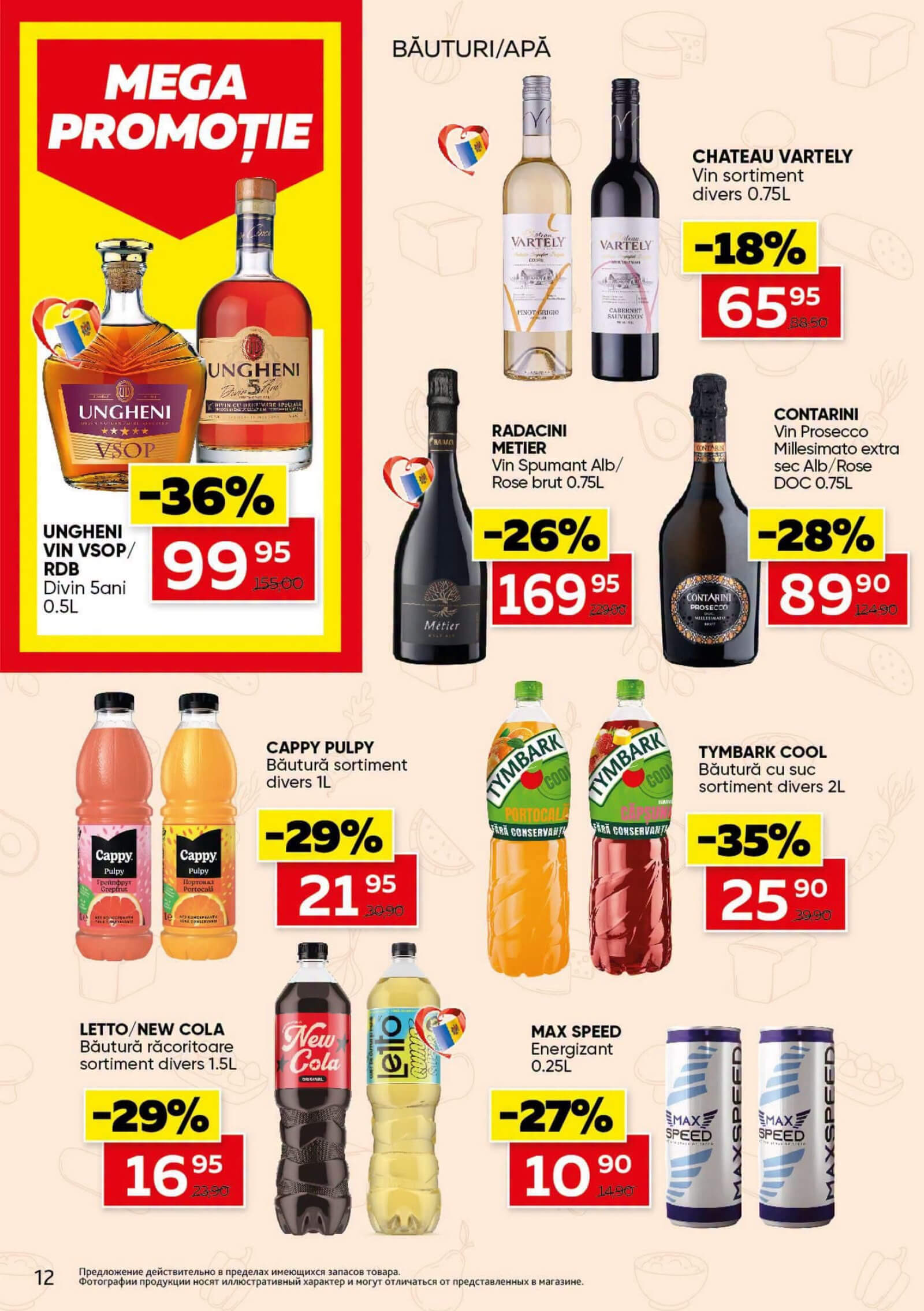 Pagina 12