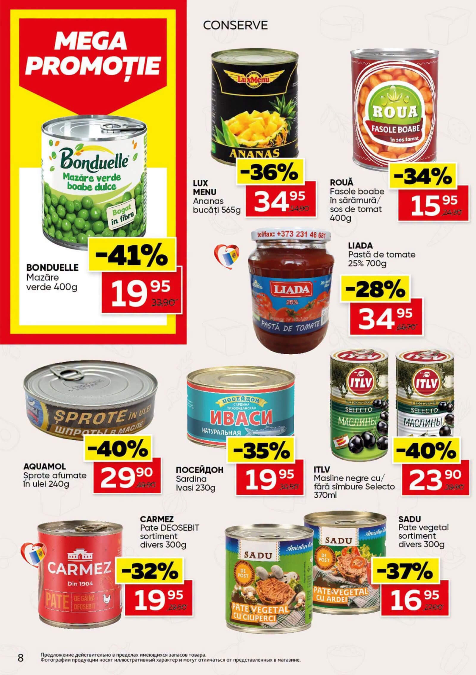 Pagina 8