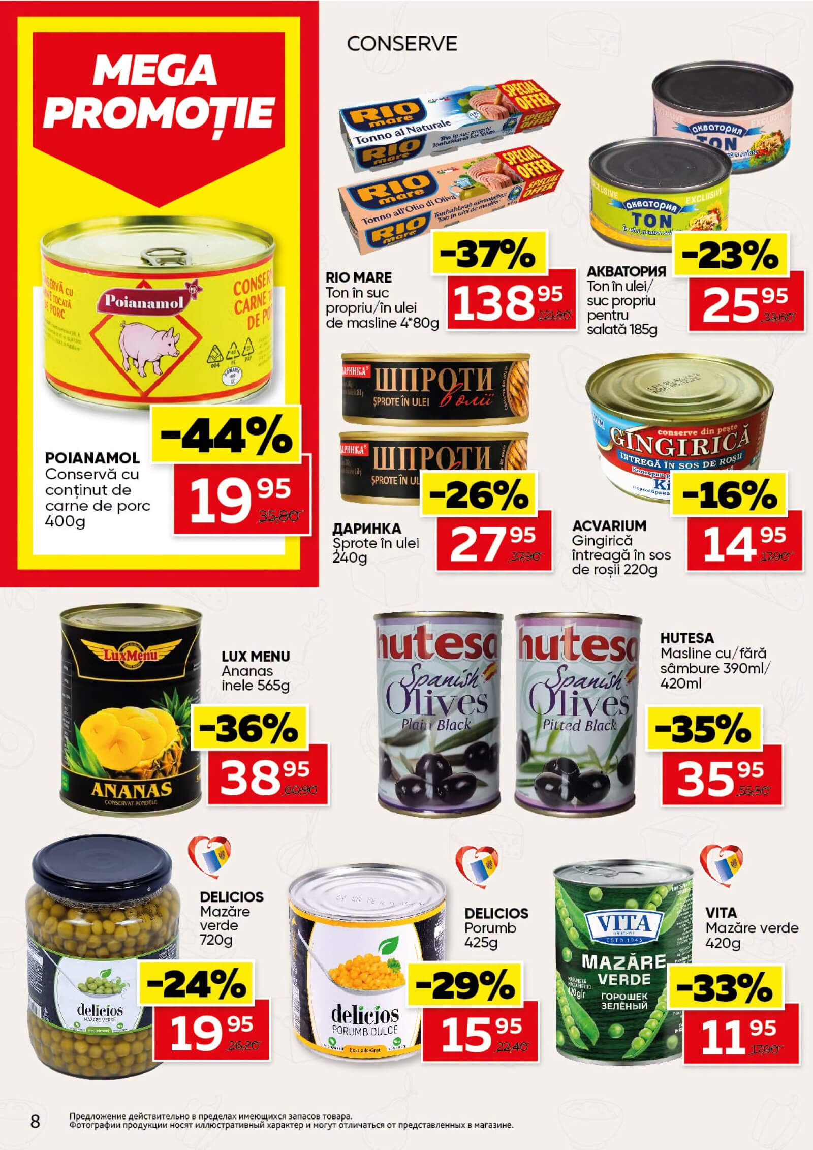 Pagina 8