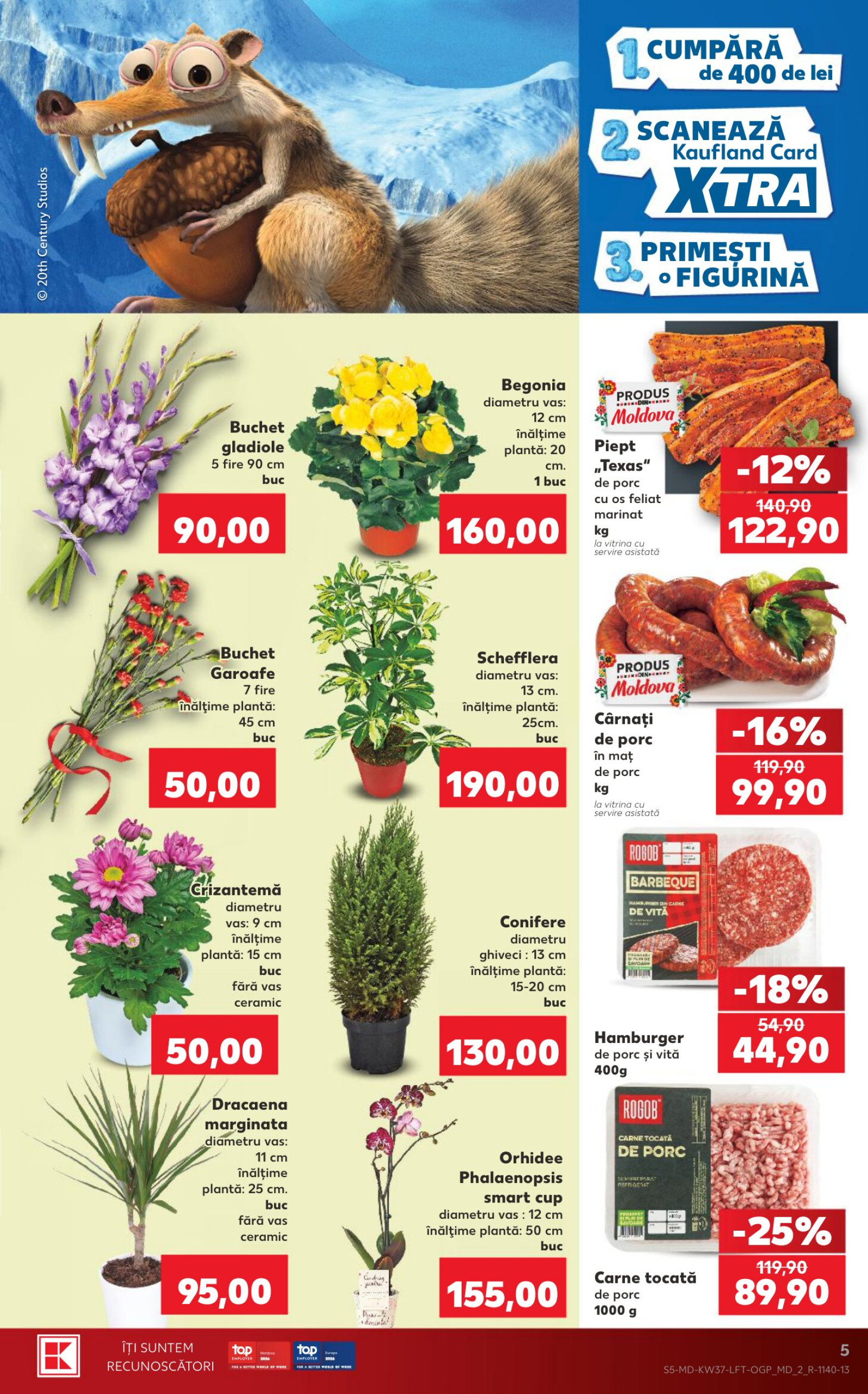 Pagina 5