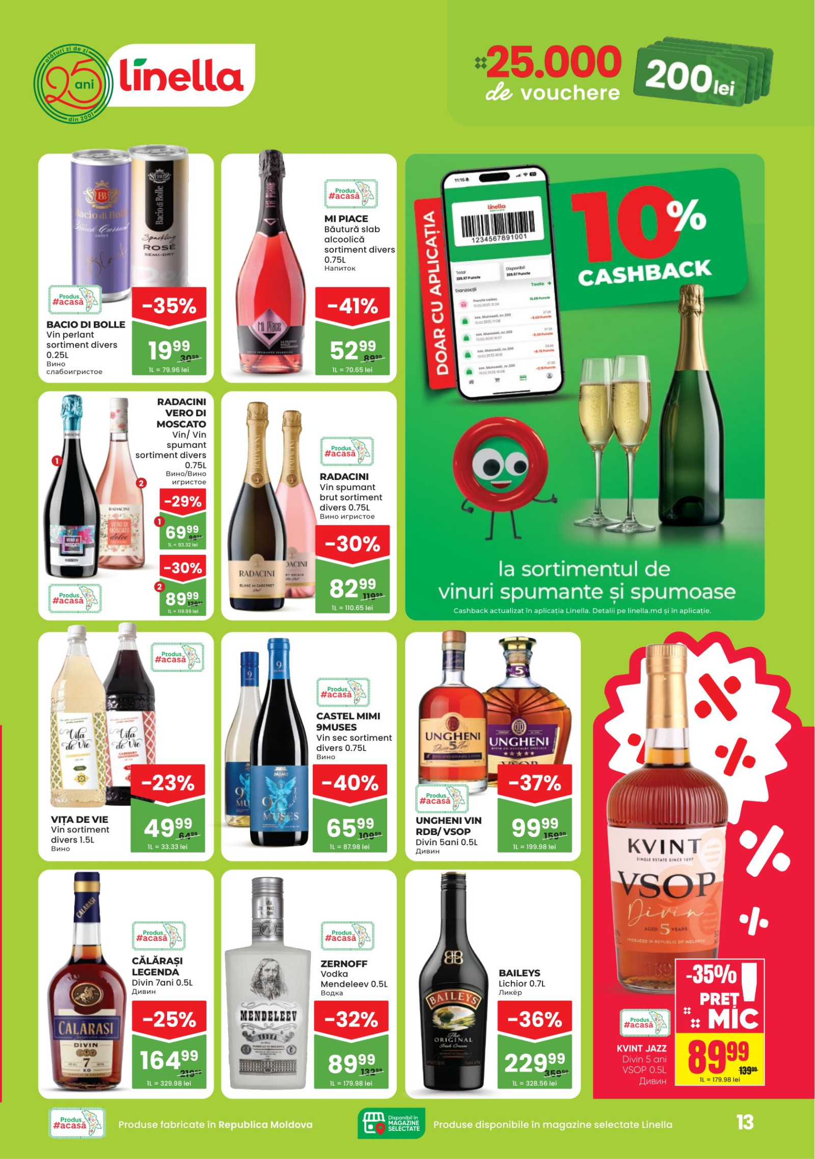 Pagina 13
