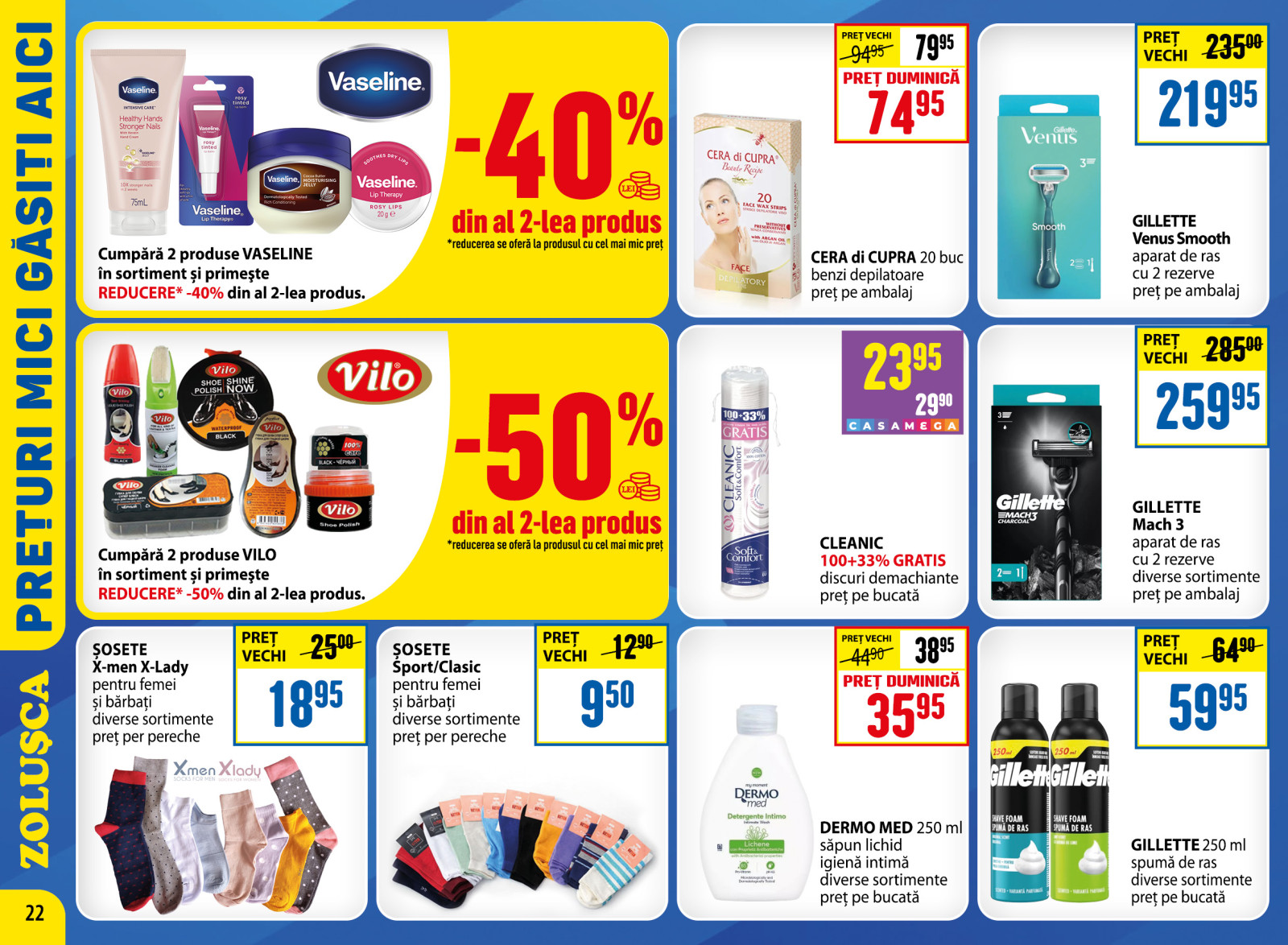 Pagina 22