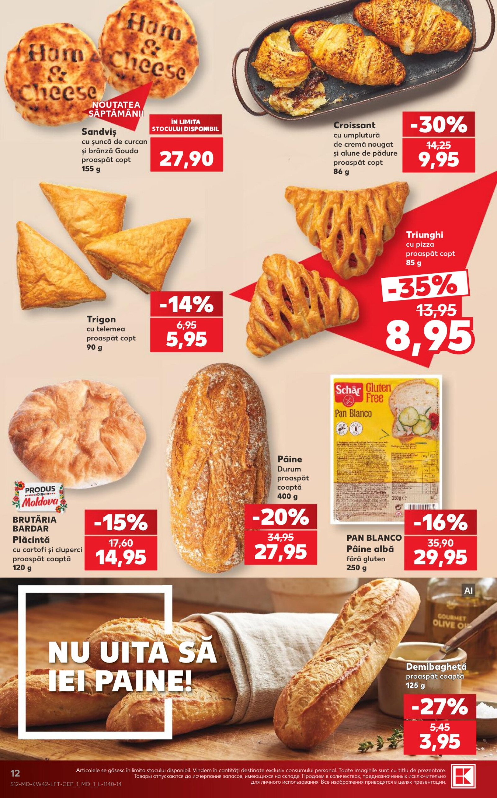Pagina 12