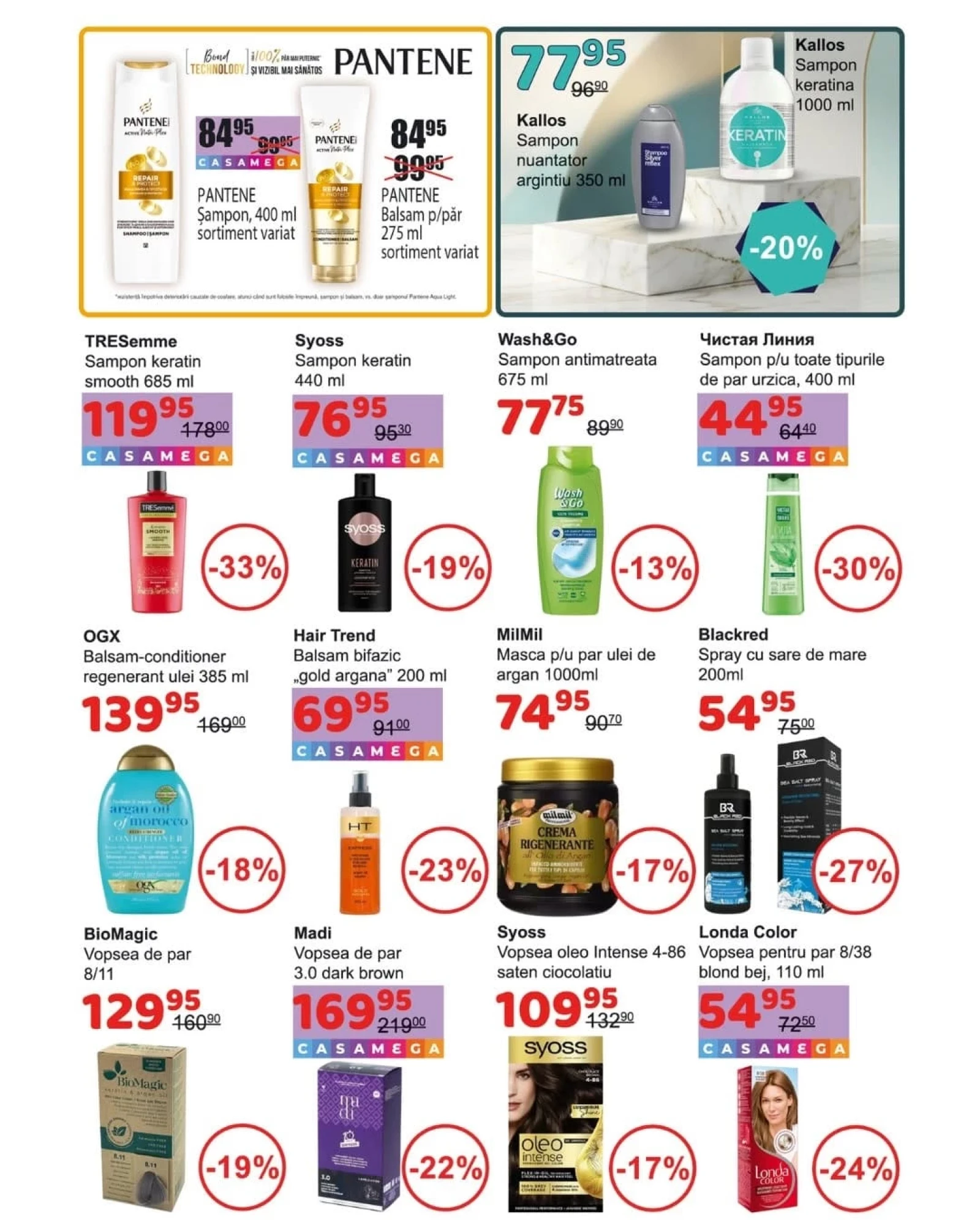 Pagina 13