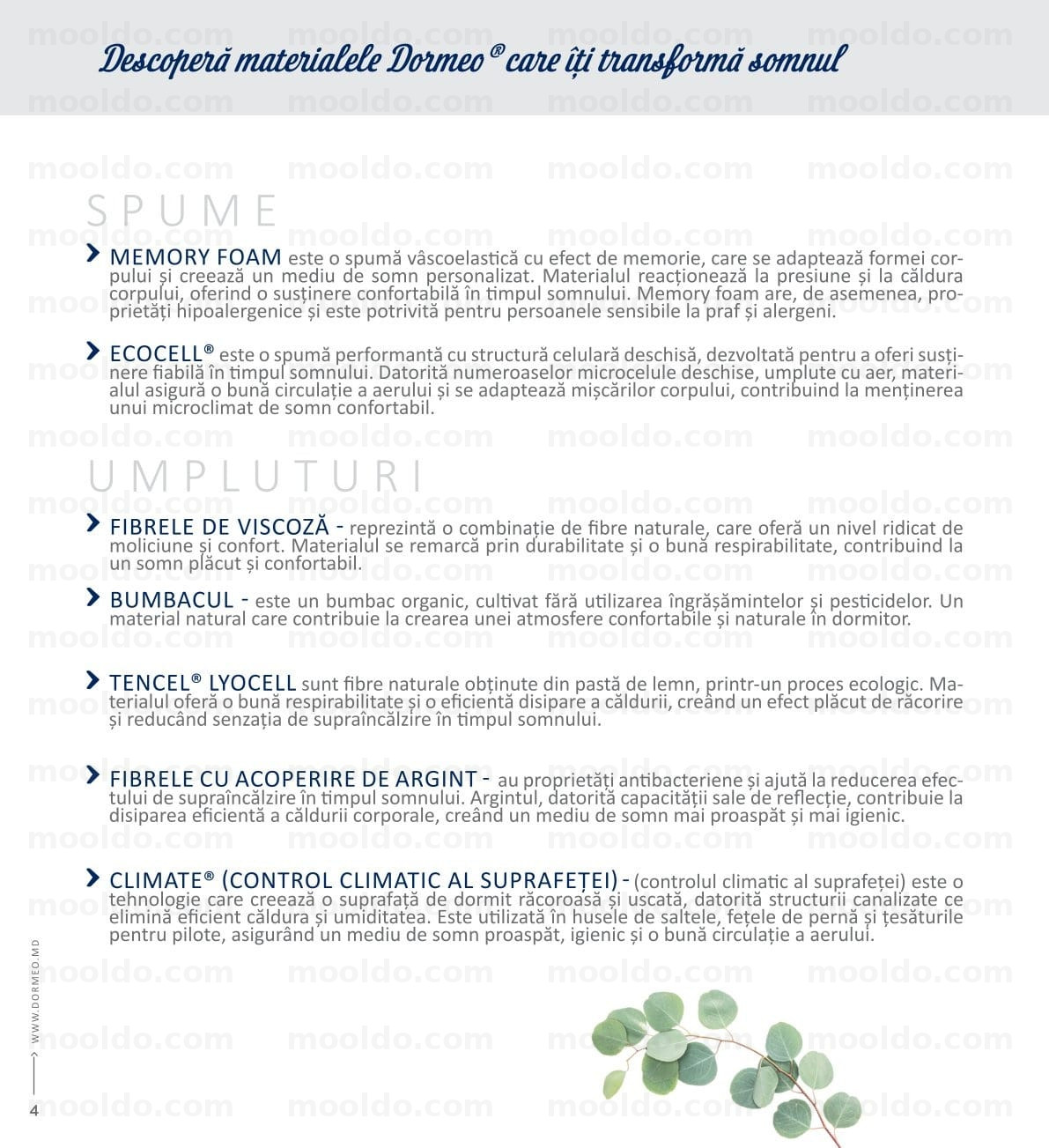Pagina 4